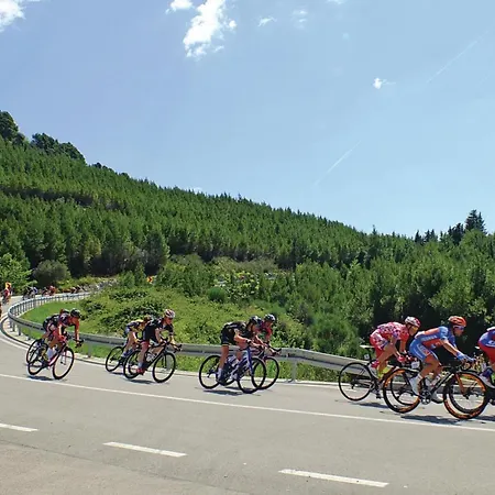 3 Bedroom Lovely In *